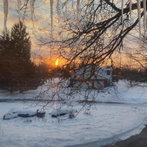 Meet your Posher, Nicholas